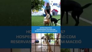 FIM DE ANO PET: hospedagens ficam cheias e donos garantem vaga com antecedência #BalançoGeralAL