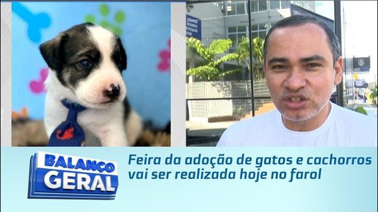 Feira da adoção de gatos e cachorros vai ser realizada hoje no farol