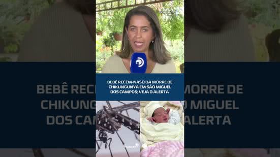 #CIDADEAL | Bebê Recém-nascida morre de chikungunya em são miguel dos campos; veja o alerta