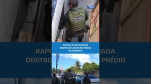 Resgate inusitado: raposa aparece em lixeira de prédio empresarial #BalançoGeralAL