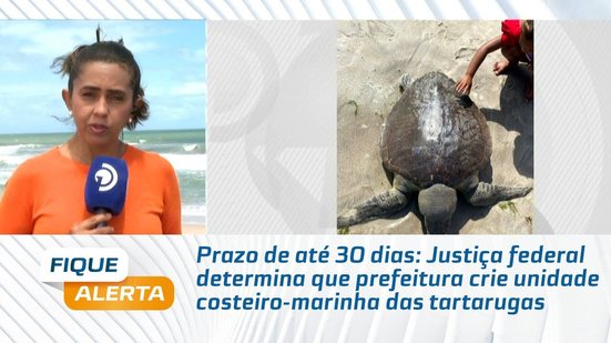 Justiça federal determina que prefeitura crie unidade costeiro-marinha das tartarugas