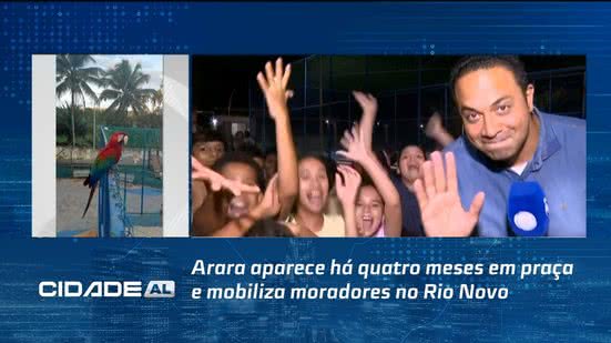 Arara aparece há quatro meses em praça e mobiliza moradores no Rio Novo