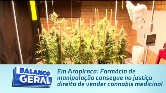 Em Arapiraca: Farmácia de manipulação consegue na justiça direito de vender cannabis medicinal