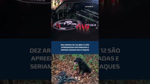 APREENSÃO: 10 armas enterradas seriam usadas em ações criminosas #CidadeAL