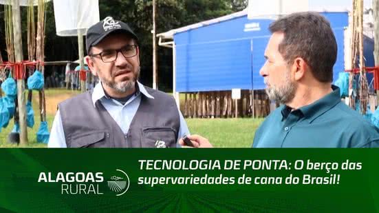 TECNOLOGIA DE PONTA: O berço das supervariedades de cana do Brasil!