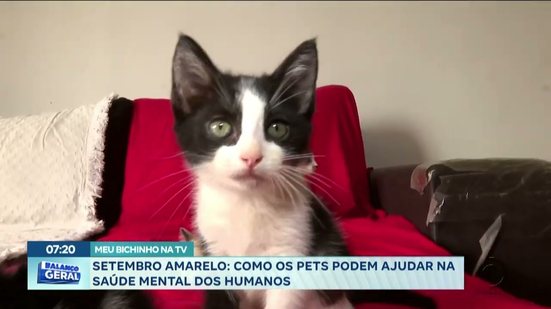 Meu Bichinho na TV: Setembro Amarelo; Como os pets podem ajudar na saúde mental dos humanos