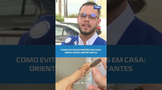 🦂Saiba como prevenir o aparecimento de escorpiões nas residências #BalançoGeralAL