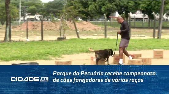 Parque da Pecuária recebe campeonato de cães farejadores de várias raças