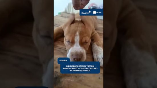 🚨Maus-tratos: homem é indiciado por oferecer corte de orelhas de animais em aplicativo #CidadeAL