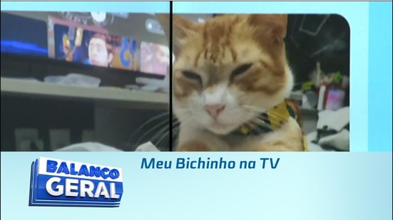 Meu Bichinho na TV