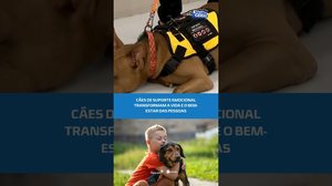 🐶Companhia que cura: cães ajudam no equilíbrio emocional e psicológico #BalançoGeralAL