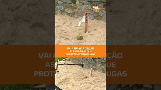 Bandeiras na areia marcam ninhos de tartarugas: veja orientação do Biota #FiqueAlerta