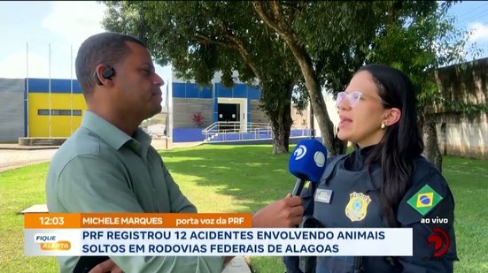 PRF registrou 12 acidentes envolvendo animais soltos em rodovias federais de Alagoas