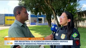 PRF registrou 12 acidentes envolvendo animais soltos em rodovias federais de Alagoas