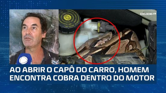 SUSTO: Argentino se assusta ao abrir capô do carro e encontra cobra escondida no motor
