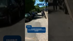 🚗 Cerca de 20 carros são apreendidos em investigação sobre clonagem de veículos | #CidadeAL