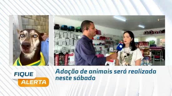 Adoção de animais será realizada neste sábado