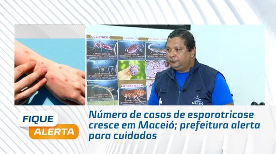 Número de casos de esporotricose cresce em Maceió; prefeitura alerta para cuidados