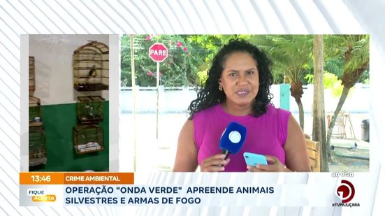 Operação ''Onda Verde'' apreende animais silvestres e armas de fogo