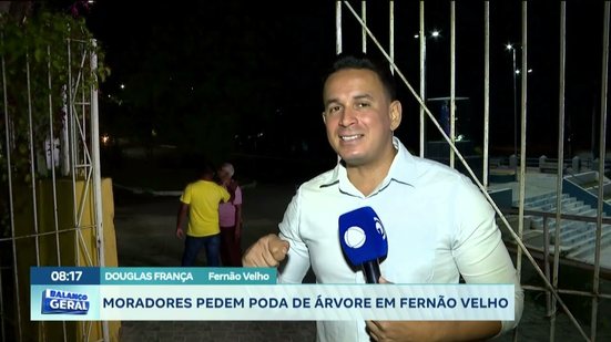 Moradores pedem poda de árvore em Fernão Velho