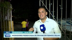 Moradores pedem poda de árvore em Fernão Velho