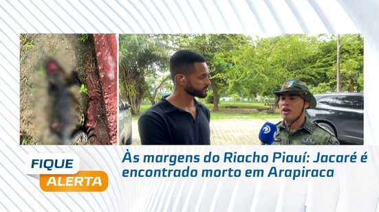 Às margens do Riacho Piauí: Jacaré é encontrado morto em Arapiraca