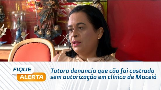 Tutora denuncia que cão foi castrado sem autorização em clínica de Maceió