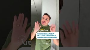 Carlinhos Maia é multado após vídeo com aves em Noronha. Te conto no Hora do Ventura🔥#horadoventura