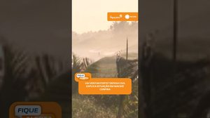 ⚠️ Defesa Civil orienta população sobre risco de queda de árvores com ventos fortes | #FiqueAlerta
