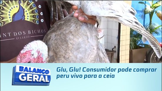 Glu, Glu! Consumidor pode comprar peru vivo para a ceia