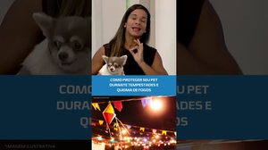 🐾Fogos e trovões podem causar estresse nos animais; saiba o que fazer #BalançoGeralAL