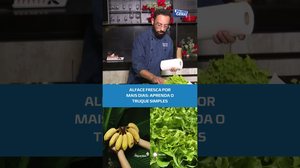 Como conservar alface por mais tempo? Veja o jeito certo com as dicas do #BalançoGeralAL