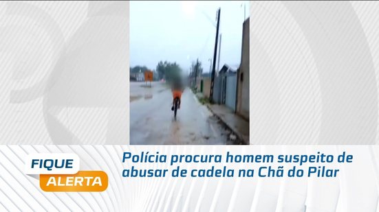 Polícia procura homem suspeito de abusar de cadela na Chã do Pilar