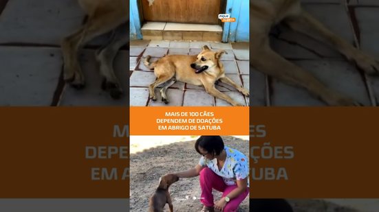 AJUDA URGENTE: abrigo em Satuba precisa de ração para mais de 100 cães #FiqueAlerta