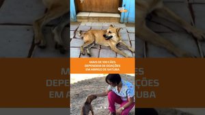 AJUDA URGENTE: abrigo em Satuba precisa de ração para mais de 100 cães #FiqueAlerta