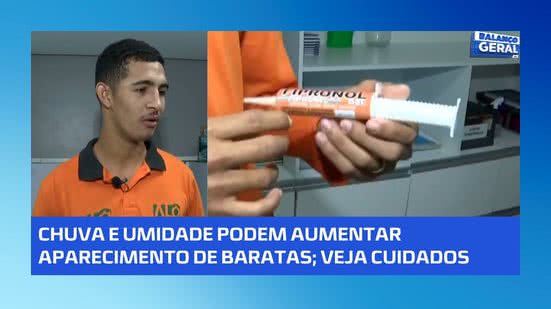 🪳 Sua casa está úmida? Isso pode estar atraindo baratas; veja como evitar