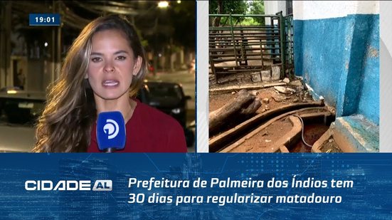 Prefeitura de Palmeira dos Índios tem 30 dias para regularizar matadouro
