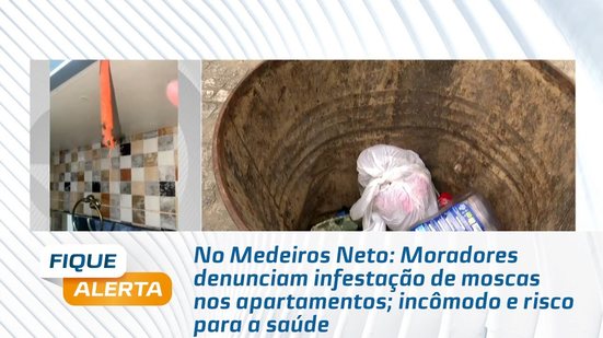 Moradores denunciam infestação de moscas nos apartamentos; incômodo e risco para a saúde
