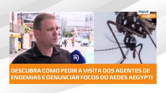 📲 Veja o passo a passo para denunciar possíveis criadouros do Aedes aegypti