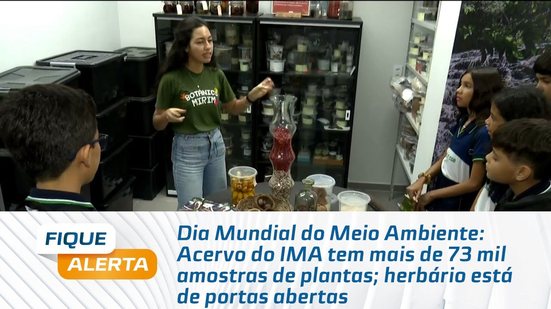 Acervo do IMA tem mais de 73 mil amostras de plantas; herbário está de portas abertas
