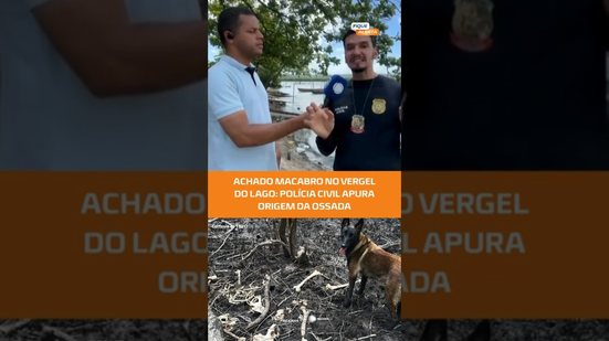Ossada humana é localizada no Vergel do Lago: polícia investiga #FiqueAlerta