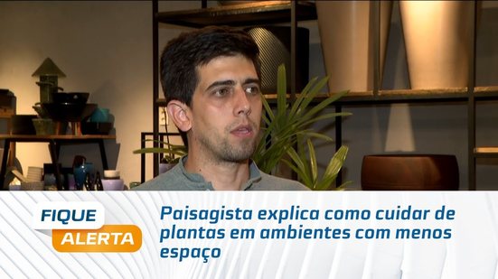 Paisagista explica como cuidar de plantas em ambientes com menos espaço