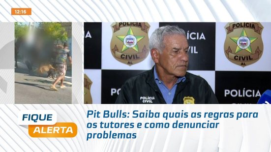 Pit Bulls: Saiba quais as regras para os tutores e como denunciar problemas