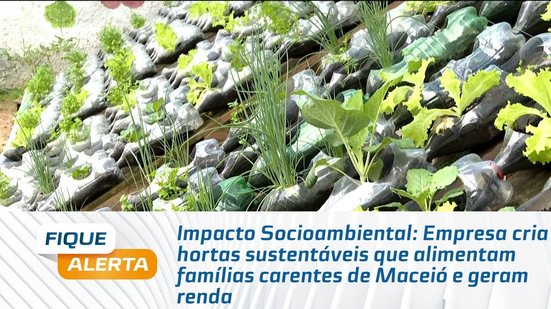 Empresa cria hortas sustentáveis que alimentam famílias carentes de Maceió e geram renda