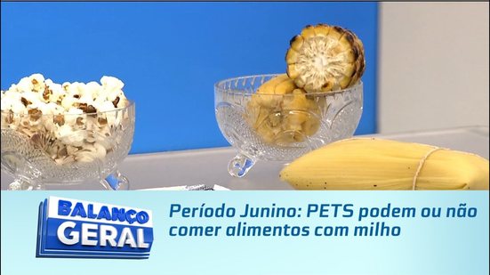 Período Junino: PETS podem ou não comer alimentos com milho