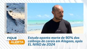 Jiboia é vista na faixa de areia de praia; Biólogo explica aparição de cobras no litoral