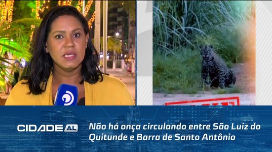 Não há onça circulando entre São Luiz do Quitunde e Barra de Santo Antônio