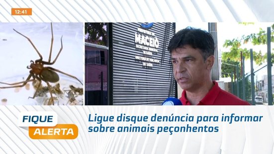 Ligue disque denúncia para informar sobre animais peçonhentos