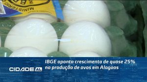 IBGE aponta crescimento de quase 25% na produção de ovos em Alagoas