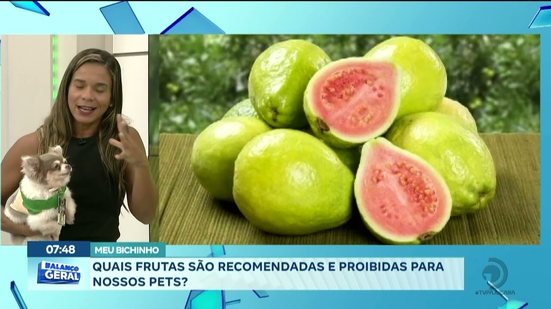 Meu Bichinho: Quais frutas são recomendadas e proibidas para nossos PETS?